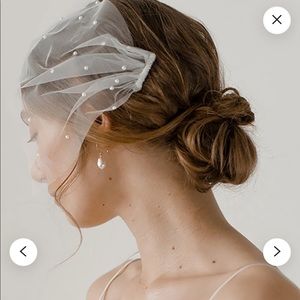 Birdcage bridal veil